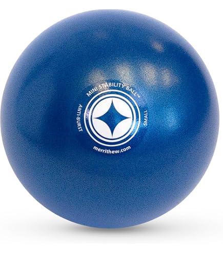 Buy STOTT PILATES(MERRITHEW) Fitness Circle Lite (Black), 14 inch