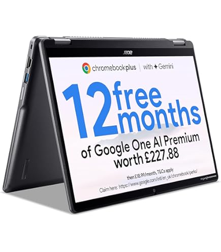 ASUS Chromebook CZ1000DVA-L30031 notebook 25.6 cm (10.1