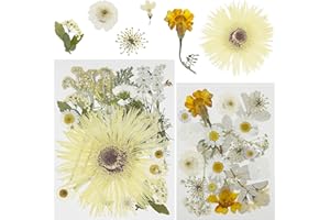 Attuslla 44 Hojas Flores Secas para Resina, Blanco Naturales Flor Prensada Mezclada, Prensadas Secas Naturales Flores Secas Reales para Resina, Scrapbooking, Joyería de Resina Epoxi