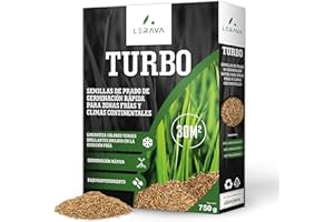 LERAVA TURBO Semillas de césped de germinación rápida (30 m²) - brotación en 4-10 días - verde brillante - ideal sol y sombra - alta resistencia a enfermedades