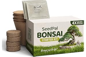 SeedPal Zestaw bonsai - zestaw startowy bonsai - zestaw do uprawy bonsai 4 różne nasiona drzew bonsai - zestaw prezentowy/zestaw do sadzenia wraz z instrukcją i akcesoriami