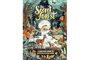 The Secret Forest: a stunning nature search & find book: 1
