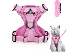 Adjustable Cat Harness Escape Proof Leash Set, Soft Chest Harness for Cats, Kittens, Dogs, Puppies, Bright Rose, M