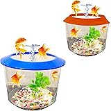 goldfish starter tank