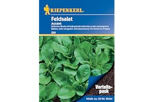 Kiepenkerl Feldsalatsamen Accent, Vorteilspack, 291 - Sehr ertragreich - schnellwachsend - Herbst bis Frühjahr - für 20 laufende Meter - Saatgut