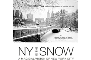 NY in the Snow: A Magical Vision of New York City