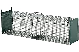 giordano shop Gabbia Trappola per Animali Vivi 100x25x28 cm Doppia Porta in Ferro Verde Scuro