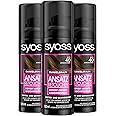Syoss Root Retoucher Concealer Spray Dark Brown Level 1 (3 x 120 ml), Renewable Root Colour Lasts Until Next Hair Wash