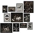 97 Decor Dark Cottagecore Decor - Dark Academia Room Decor, Cottage Core Wall Decor, Gothic Animal Prints Nature Posters, Vintage Mushroom Art Whimsical Decor for Home Bedroom (8x10 Unframed)