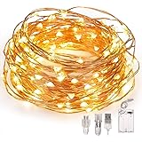Fulighture Led Lichterkette,10M 100 LED Lichterkette,Zwei Stromversorgungsmethoden-Batterie und USB-Port,Wasserdicht Stimmung