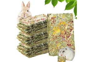 BORDEAG Parti med 15 tuggleksak för kaniner - Tuggleksak för kaniner - Molartillbehör för marsvin - Chinchilla - Kaniner