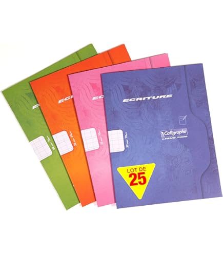 Un Cahier 17x22 cm - 48 Pages Réglure 4 couleurs Spéciale DYS Interligne 5mm