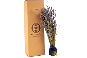 ROSEMARIE SCHULZ Heidelberg Lavanda essiccata francese, circa 100-150 steli di fiori di lavanda della Provenza, mazzo di lavanda e raccolto 2022