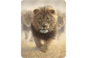 Deluxebase Magnet 3D LiveLife - Course du Lion de Aimant lenticulaire Puissant pour frigo 3D Lion. Magnet décoratif Enfants & Adultes avec Illustrations sous Licence Artiste renommé Collin Bogle