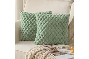 Mandioo 2er Set Salbeigrün superweichen dekorative Plüsch Kissenbezug Kissenbezüge 50 x 50 cm Wollsamt Dekokissenbezüge Kissenhülle Sofakissen Dekokissen flauschig für Couch Sofa Bett Wohnzimmer