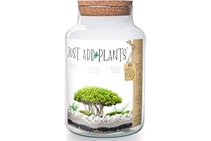 Annastore XXL Pflanzenterrarium inklusive allem - Nur noch Pflanze dazu -Terrarium - Fertig H 30 cm/H 18 / oder H 20- Pflanzterrarium Pflanzenglas - Flaschengarten (H 30 cm Ø 19 cm + Korken)