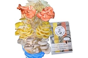 FORAGERS TABLE Mushroom Growing Gift Kit – Grow Pink, Blue & Golden Oyster Mushrooms – Fun DIY Kit with Straw & Voucher for Fresh Living Spawn – Perfect Eco Gift, Delicious & Easy to Grow