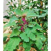 künstliche tannenbaum kaufen Künstlichen Weihnachts-/Tannenbaum online kaufen bei FLORADE – Florade.de main image 1