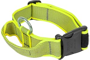 JULIUS K-9 Julius-K9 obroża Color & Gray z uchwytem, zamkiem bezpieczeństwa i wymienną naszywką, 40 mm, 38–53 cm, neonowo-szara