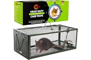 Ratkil Live Rat Cage Trap - UPGRADED Large Humane Mouse Traps & Rat Traps for All Weather - Home & Animal Friendly Control - Reusable Heavy Duty Solution for Rat, Mouse, Squirrel, Rodent Infestations