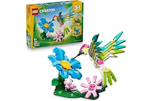 Wild Animals: Colourful Hummingbird 31384