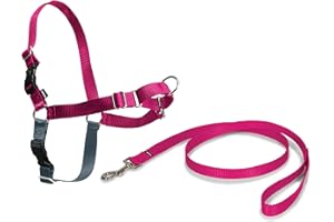 PetSafe Easy Walk - Arnés Antitirones para Perros, 4 Puntos de Ajuste, Adiestramiento de Perros, Evita Asfixia, Fácil de Poner y Quitar - Frambuesa - Mediano, M