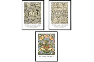 STATE MEDIA VISION William Morris Set of 3 Art Prints - Anemone, Strawberry Thief, Brer Rabbit - Famous Artist Pictures Available in a Variety of Sizes (Set 4, A4 Print Only)