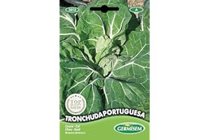 Germisem graines Chou TRONCHUDA PORTUGUESA