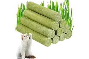 HEALIFE Katzengras Snack,Cat Grass Teething Stick,50g Gefriergetrocknet Snacks für Katzen für die Zahnpflege und Haarknäuel Entfernen, Katzenminze,Beißstab aus katzengras