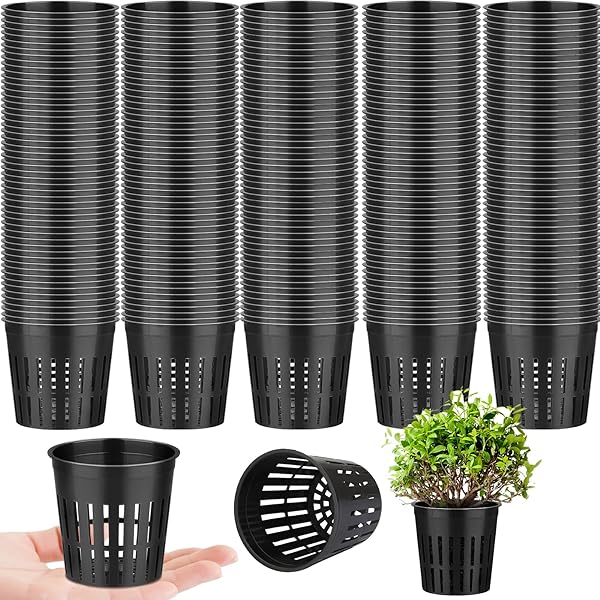 Cubos de lana de roca de 1 pulgada para Hidroponía Ecuador | Ubuy