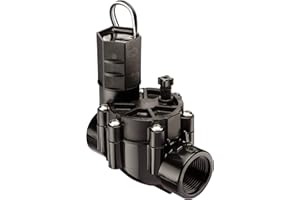 Rain Bird Vanne d'arrosage automatique en ligne CP100, filetage femelle 1", noir