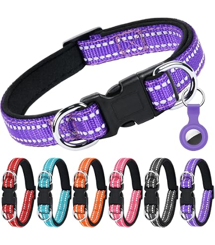CYP Brands Atlético De Madrid Hundehalsband – Offizielles Vereins-Halsband Mit Clipverschluss (Größe S, Rot)