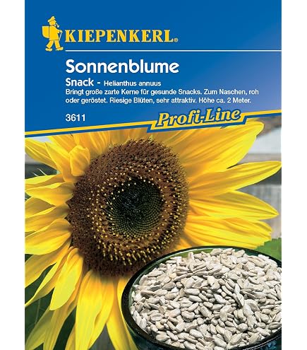 bio tomaten saatgut BIO Tomatensamen (Black Cherry)