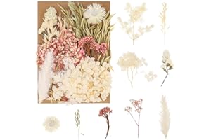 ALTcompluser Natürliche Getrocknete Blumen, Trockenblumen Set, für DIY Gepresste Blumen, Scrapbooking, DIY-Kerze, Schmuckanhänger Basteln (Mixed)