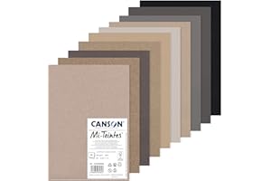 Canson Carta Mi-Teintes (Nido-api), Confezione da 10 fogli A4, 160 g/m², toni grigi