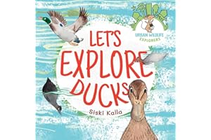 Let's Explore Ducks: Urban Wildlife Explorers