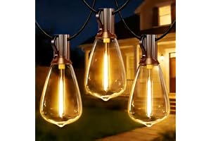 HeiPard LED-ljusslinga för utomhusbruk Storm 10 m, ST38 trädgårdsljusslinga med 15+1 glödlampor & fjärrkontroll Timer, IP45 v