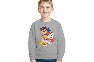 United Labels Paw Patrol Sweatshirt für Jungen - Kinder Pullover Oberteil Grau