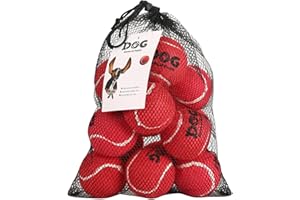 AMA SPORT - AD-Dog-Red - Balles de Tennis pour Chiens (6,35 cm) -Taille M - Orange - Lot de 12 - Rebond Adapté - Haute Visibilité - Résistantes & Flottantes + Sac