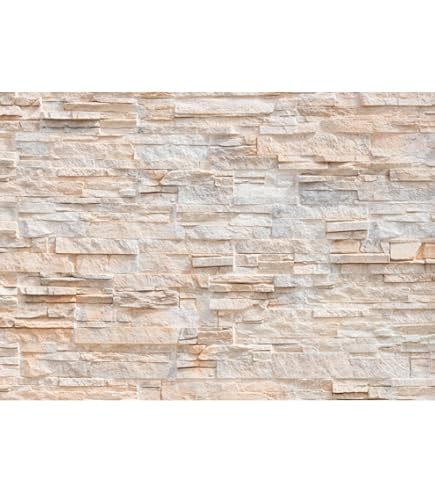 wandmotiv24 Fotobehang Jungle pad bos manier XXL 400 x 280