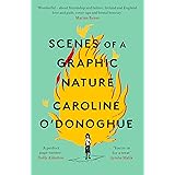 Scenes of a Graphic Nature: 'A perfect page-turner ... I loved it' - Dolly Alderton