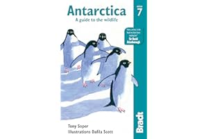 Antarctica: A Guide to the Wildlife (Bradt Wildlife Guide)