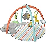 bright starts enchanted elephants activity gym