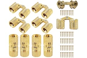 YOUNG WOLF 10x Charnières en laiton pour armoire - Invisibles - Pour meubles - Angle d'ouverture dissimulé de 180 degrés avec 20 vis (8 mm)