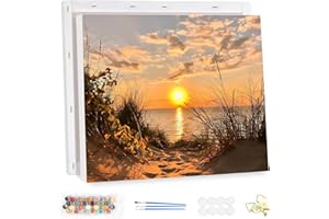 MEIYUDA Dipingere con i Numeri Adulti con Telaio riva sabbiosa, fai da te Paint by Numbers Quadri da Dipingere Numerat, Pittura a Olio Kit, Pittura Adulti Decora la Casa Regalo 40x30cm