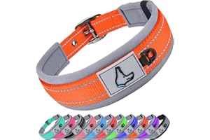 Joytale Collier Chien, Réglable Moyens Collier pour Chien Rembourré, Bandes Réfléchissant, Orange, M