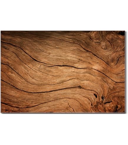 Banjado® Glas Magnettafel 40x40 Cm - Burgunderrot - Magnetwand Beschreibbar Mit 4 Magneten - Für Küche & Büro