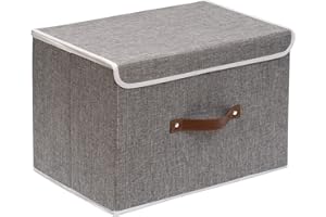 OUTBROS Paniers de Rangement, 38 x 25 x 25 cm Boîte Pliables avec Couvercles et Poignées, Bac Range pour Vêtement, Magazine, Chambre à Coucher (1 pièces, Gris)