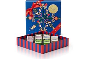 Venchi, Coffret Cadeau de Noël Bleu Céleste avec Cremini Assortis, avec “Noisette du Piémont”, Édition Limitée Alice Bureau, 135 g, Sans Gluten, Idée Cadeau de Noël