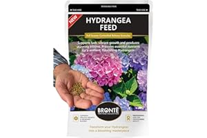 BRONTE HERITAGE COLLECTION Bronte Heritage Hydrangea Feed Controlled-Release Fertiliser – Plant Food for Hydrangeas in Borders, Pots, Containers. Easy-Apply Granules for Strong Stems, Vibrant Blooms & Healthy Growth. 120g Pouch